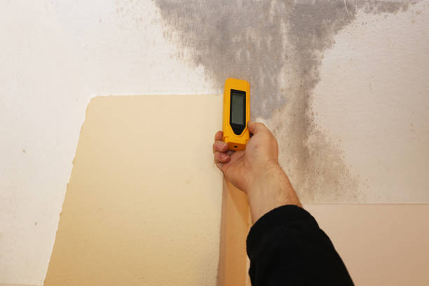 Best Mold Removal for HVAC Installations  in Cottonde, AL